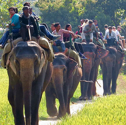 Jeep Safari in Corbett